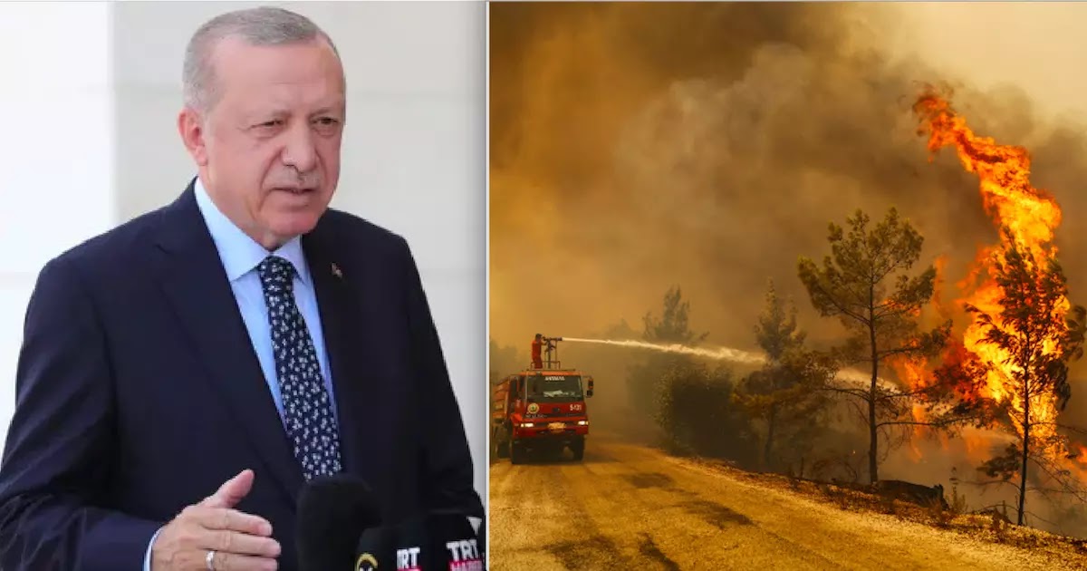 Erdogan Admits Turkey Doesn't Have A Single Firefighting Plane To Tackle Huge Wildfires