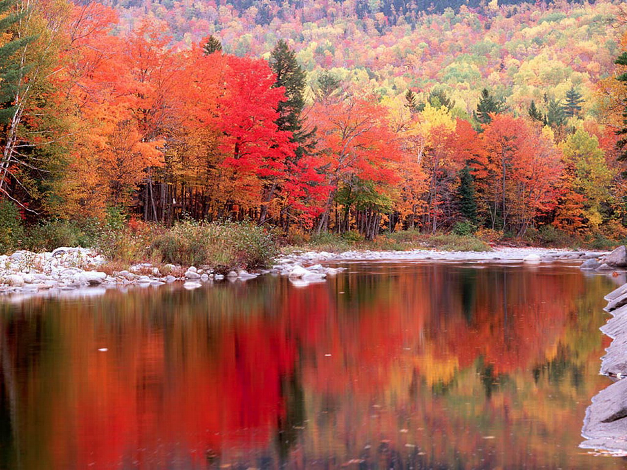 Fond Décran Automne Hd Gratuit Fond Décran Hd