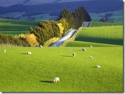 wall-david-farmland-south-otago-south-island-new-zealand