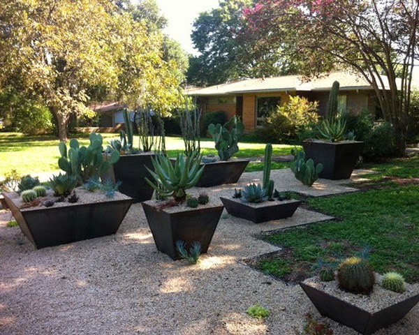 Decorar con cactus, las plantas con superpoderes  Jardineras modernas,  Decoración de unas, Decoración de patio