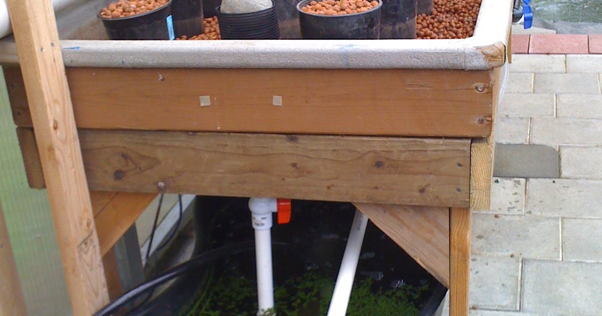 Hydroponics Blog: Healthier Food: New Aquaponics System ...