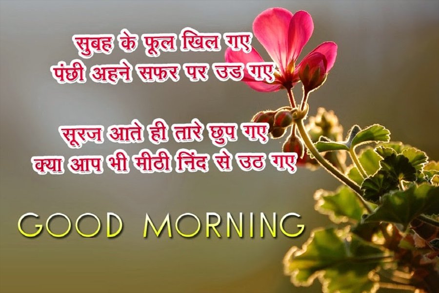 Beautiful Good Morning Hindi Picture