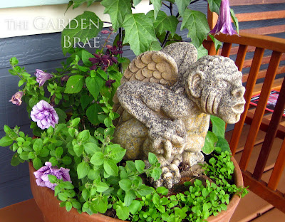 Datura in a pot with a gargoyle statue