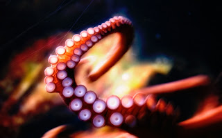 Octopus Tentacle HD Wallpaper
