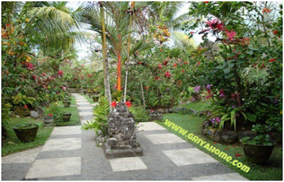 Tanaman Tropis Bali