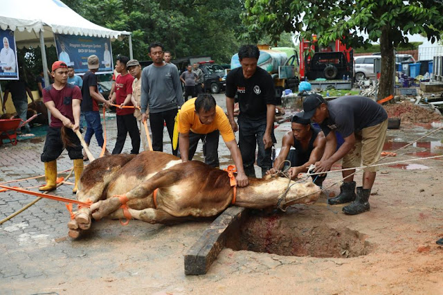 Momen Idul Adha 1444 H, BP Batam Sembelih Hewan Qurban dan Melaunching Tabungan Qurban