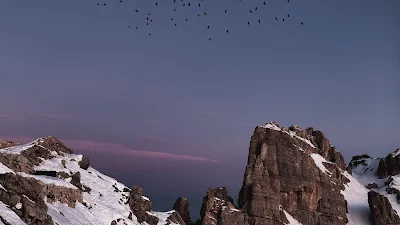 HD Wallpaper Birds, Snow, Rocks, Mountain