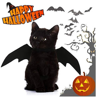 Sgift Halloween Pet Costumes for Cats,Halloween Pet Bat Wings Cat Dog Bat Costume,Pet Apparel Halloween Cat Costume,Funny Cat Costumes for Pets - Black Cat Wings Halloween