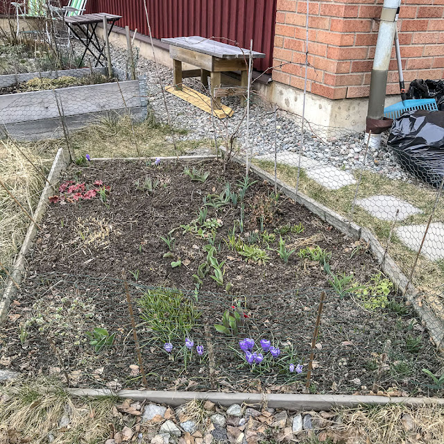 plantering