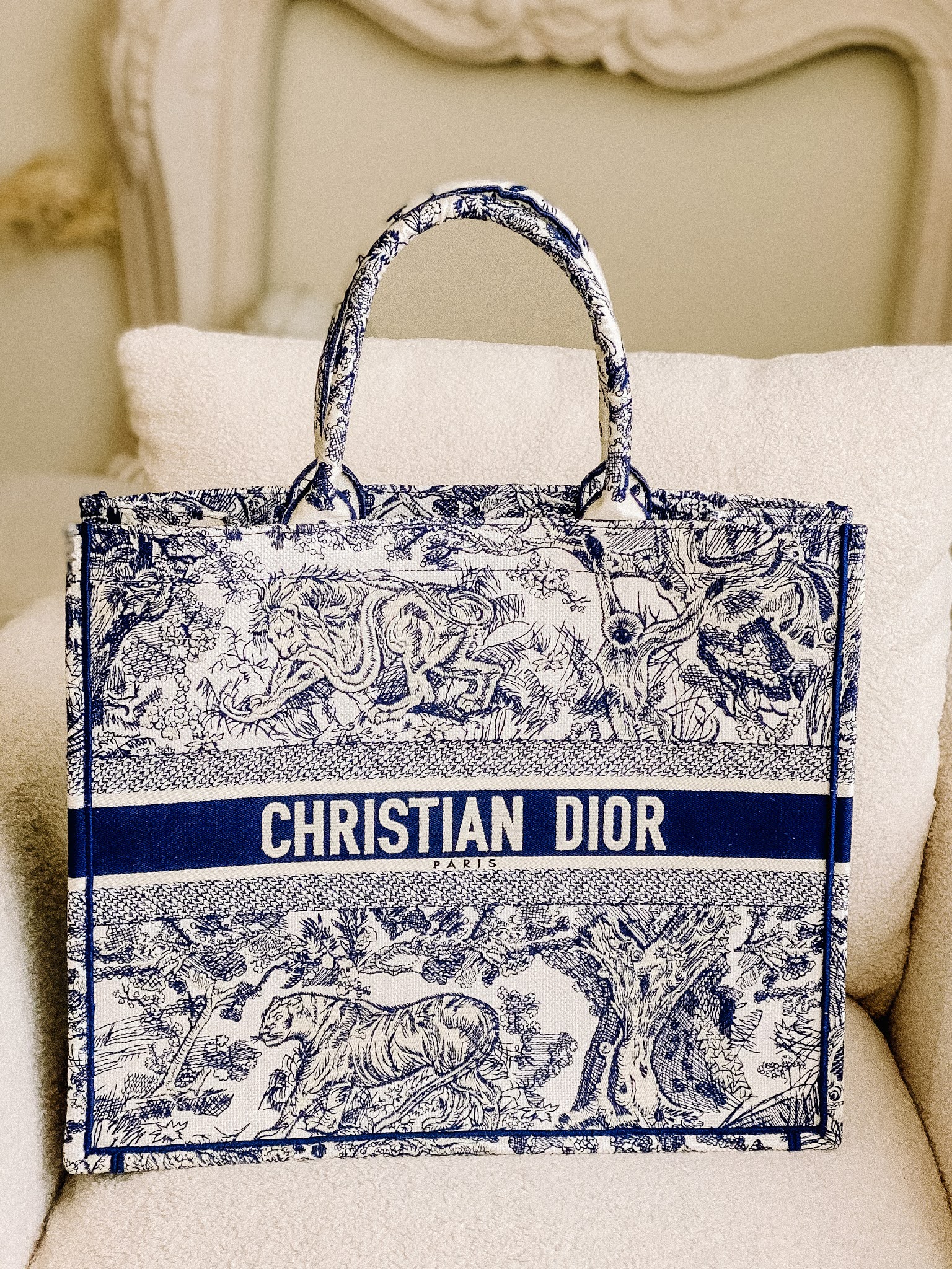 https://www.dior.com/en_us/womens-fashion/bags/dior-book-tote?a_aid=5f77305bbf34e