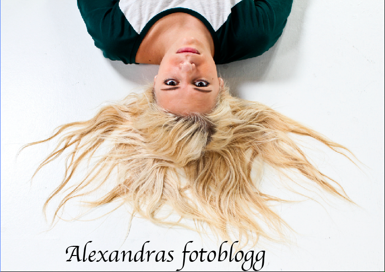 Alexandras fotoblogg