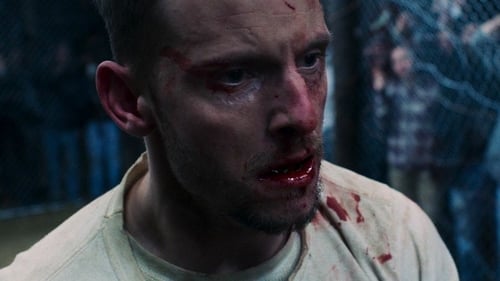 Donnybrook 2019 online gratis español 