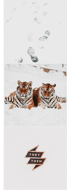 when the tiger came down the mountain nghi vo aesthetic