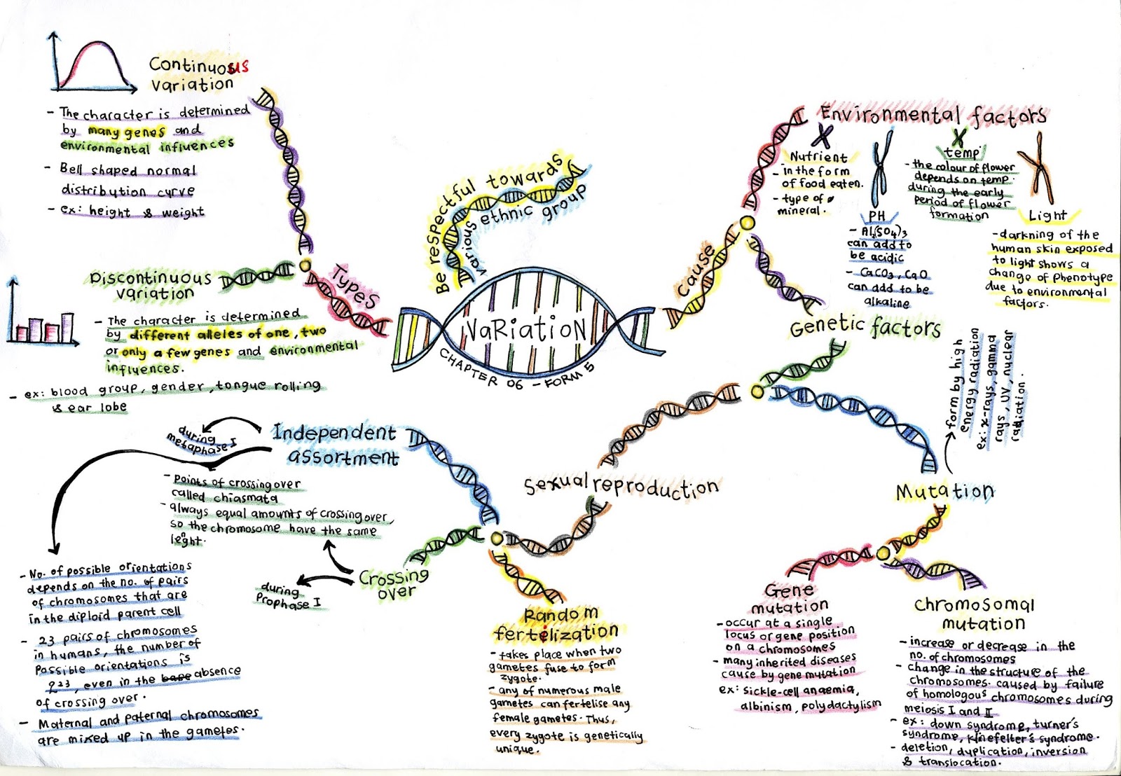 Biology A+: Nota Kreatif Biologi (Credit to Mr Shahril-Lizan)