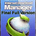 Internet Download Manager v6.12 Build 11