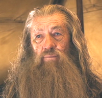 Ian McKellen - The Hobbit: The Battle Of The Five Armies