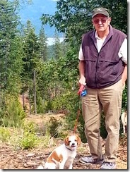 T and T in wilds