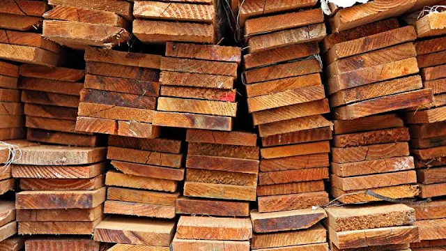 kayu angsana