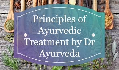 Principles of Ayurvedic Treatment by Dr Ayurveda