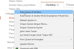 Memperbaiki Url Tidak Ditemukan Google Webmaster Tool