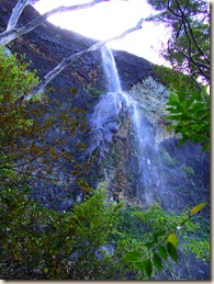DSCF2605