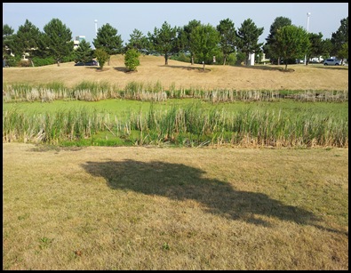 2012-07-25 08.23.23