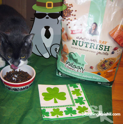 CK and the Leprecats—Quest 4 Kibble #ChewyInfluencer