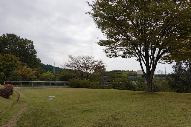 鳥取県西伯郡南部町鶴田　とっとり花回廊