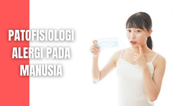 Patofisiologi Alergi Pada Manusia Patofisiologi alergi terjadi akibat pengaruh mediator pada organ target. Mediator tersebut dibagi dalam dua kelompok, yaitu mediator yang sudah ada dalam granula sel mast (performed mediator) dan mediator yang terbentuk kemudian (newly fored mediator).   Menurut asalnya mediator ini dibagi dalam dua kelompok, yaitu mediator dari sel mast atau basofil (mediator primer), dan mediator dari sel lain akibat stimulasi oleh mediator primer (mediator sekunder).  Mekanisme alergi terjadi akibat induksi IgE yang spesifik terhadap alergen tertentu berikatan dengan mediator alergi yaitu sel mast. Reaksi alergi dimulai dengan cross-linking dua atau lebih IgE yang terikat pada sel mast atau basofil dengan alergen.   Rangsang ini meneruskan sinyal untuk mengaktifkan sistem nukleotida siklik yang meninggikan rasio cGMP terhadap cAMP dan masuknya ion Ca++ ke dalam sel. Peristiwa ini akan menyebabkan pelepasan mediator lain.  Mediator yang telah ada di dalam granula sel mast diantaranya histamin, eosinophil chemotactic factor of anaphylactic (ECF-A), dan neutrophil chemotactic factor (NCF). Histamin memiliki peranan penting pada fase awal setelah kontak dengan alergen (terutama pada mata, hidung, dan kulit). Histamin dapat menyebabkan hidung tersumbat, berair, sesak napas, dan kulit gatal.  Histamin menyebabkan kontraksi otot polos bronkus dan menyebabkan bronkokonstriksi. Pada sistem vaskular menyebabkan dilatasi venula kecil, sedangkan pada pembuluh darah yang lebih besar konstriksi karena kontraksi otot polos. Histamin meninggikan permeabilitas kapiler dan venula pasca kapiler.   Perubahan vaskular menyebabkan respons wheal-flare (triple respons dari Lewis) dan jika terjadi secara sistemik dapat menyebabkan hipotensi, urtikaria, dan angioderma. Pada traktus gastrointestinal, histamin menaikkan sekresi mukosa lambung dan apabila pelepasan histamin terjadi secara sistemik, aktivitas otot polos usus dapat meningkat dan menyebabkan diare dan hipermotilitas.  Newly synthesized mediator diantaranya adalah leukotrein, prostagladin, dan tromboksan. Leukotrein dapat menyebabkan kontraksi otot polos, peningkatan permeabilitas, dan sekresi mukus. Prostaglandin A dan F menyebabkan kontraksi otot polos dan meningkatkan permeabilitas kapiler, sedangkan prostaglandin E1 dan E2 secara langsung menyebabkan dilatasi otot polos bronkus.   Kalikrein menghasilkan kinin yang mempengaruhi permeabilitas pembuluh darah dan tekanan darah. ECF-A menarik eosinofil ke daerah tempat reaksi dan memecah kompleks antigen-antibodi dan menghalangi newly synthetized mediator dan histamin.   Plateletes Activating Factor (PAF) menyebabkan bronkokonstriksi dan menaikkan permeabilitas pembuluh darah, mengaktifkan faktor XII yang akan menginduksi pembuatan bradikinin. Bradikinin menyebabkan kontraksi otot bronkus dan vaskular secara lambat, lama, dan hebat.   Bradikinin juga merangsang produksi mukus dalam traktus respiratorius dan lambung. Serotonin dalam trombosit yang dilepaskan waktu agregasi trombosit melalui mekanisme lain menyebabkan kontraksi otot bronkus yang pengaruhnya sebentar.    Nah itu dia bahasan dari patofisiologi alergi pada manusia, melalui bahasan di atas bisa diketahui mengenai patofisiologi alergi pada manusia. Mungkin hanya itu yang bisa disampaikan di dalam artikel ini, mohon maaf bila terjadi kesalahan di dalam penulisan, dan terimakasih telah membaca artikel ini."God Bless and Protect Us"