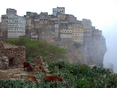 Socotra City