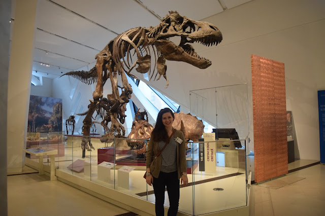 #emptyROM in the Dinosaur Room! - TheCraftyMann.Blogspot.ca