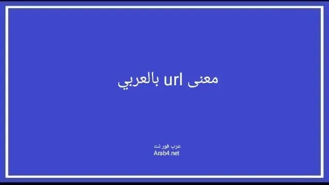 معنى url