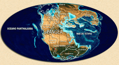 A topografia da terra no milênio><div class=