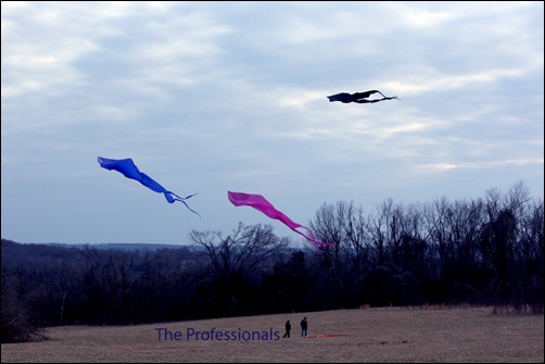 kite festival 2010 038 copy
