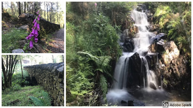 Grizedale Forest waterfall and walls