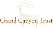 Grand Canyon Trust