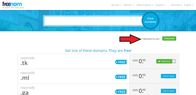 How To Setup Free Custom Domain With Blogger?