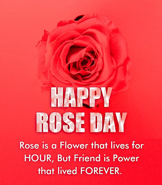 Download Rose Day Images