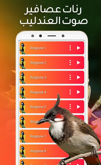 تحميل تطبيق Download App Soon Bird Apk اجمل اصوات العصافير و نغمات