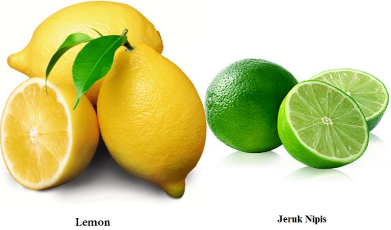 Gokil 17+ Gambar Warna Hijau Lemon