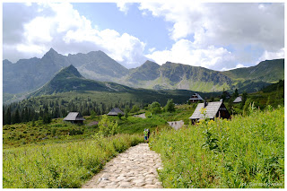 Hala Gąsienicowa, panorama Tatr Wysokich z Kościelcem