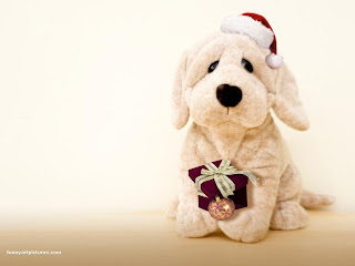 Christmas Dog Puppy Wallpaper