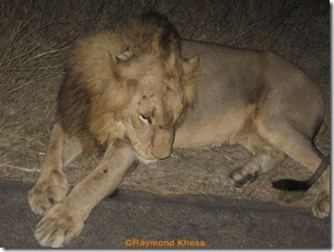 Africa 004