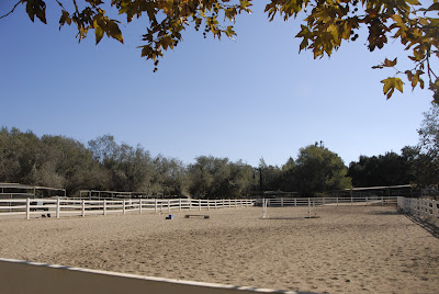 horse arena