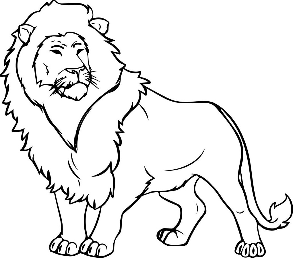 Kumpulan Gambar  Kartun  Singa Hitam  Putih  Terbaru Sobponsel