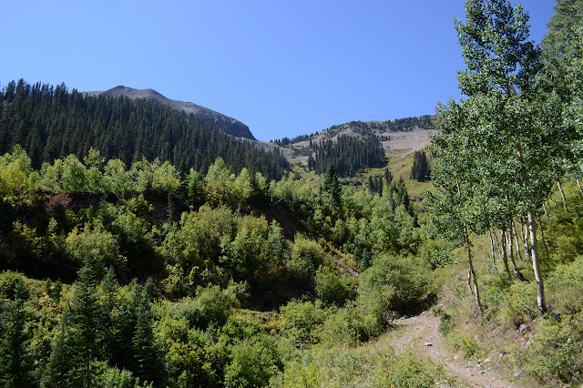 meadow and trees around a gully leading to some peaks