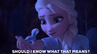 Frozen Should I Know What That Means Gif