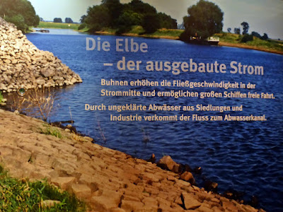 Die Elbe