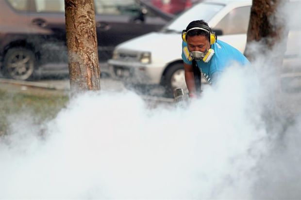 Awas ! 13 kawasan panas kes demam denggi di sekitar jajahan MPSJ - kes meningkat !