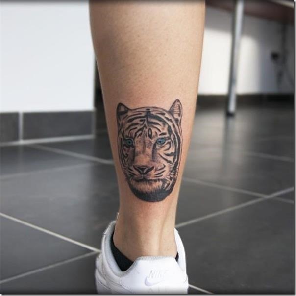 destacan-los-hermosos-ojos-del-tigre destacan-los-hermosos-ojos-del-tigre
